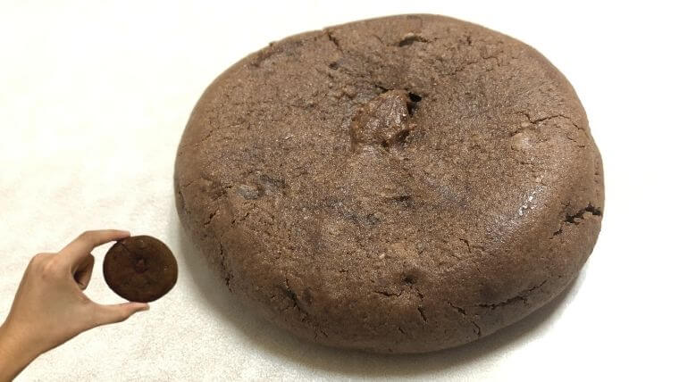 フィヨルドプロテインクッキーのレビュー：商品の満足度